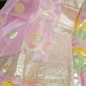 Organza Banarasi Suit