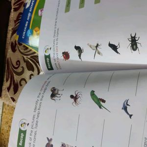 Activity Books For Kids