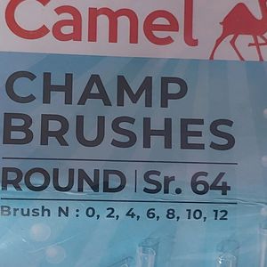 CAMEL ROUND BRUSHES - NEVER USED