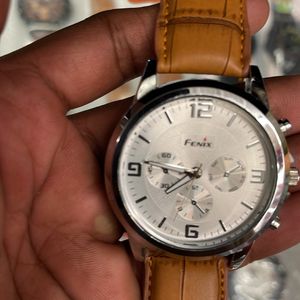 Fenix Watch