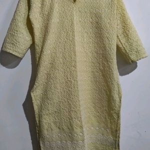 Chikenkari Embroidery Kurti