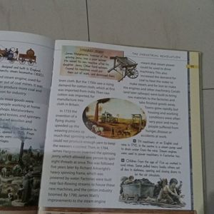 World History Book