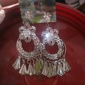 Beautiful Earrings