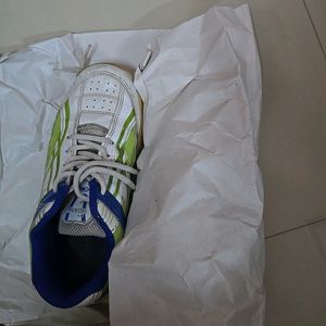 Branded Sports Shoes