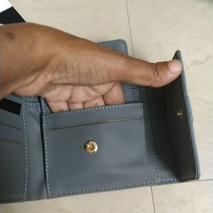 Baggit Wallet