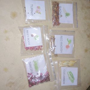50 Types of Vegetable Plant Seeds