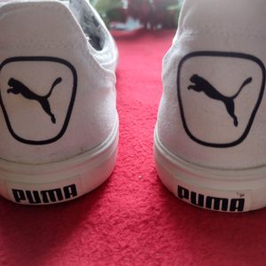 Puma Canvas Men👟