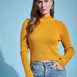 Women Striped High Neck YellowSweater