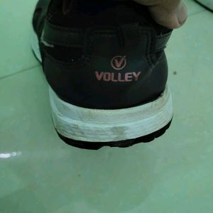 Volley Company Sports Shoes