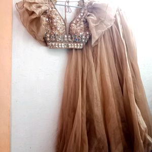 Nude Lehenga Choli