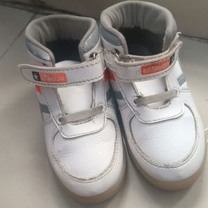 Stylish Boys Sneakers