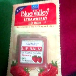 Lip Balm Combo.