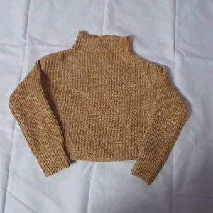 Turtle Neck Woolen Jumper