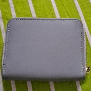 Baggit Brown & Mini Grey Wallet