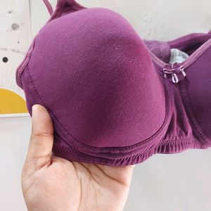 Purple Padded Bra