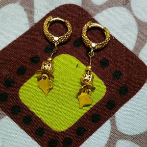 Gold Earrings And Bittes