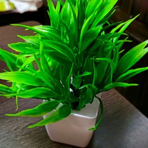 Artificial Plant 4 Piece