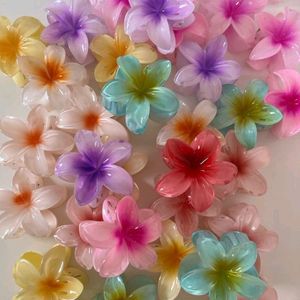 FLOWER CLIPS❤️