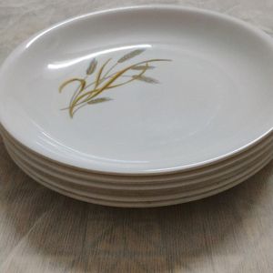 Melamine Plates Set Of 6