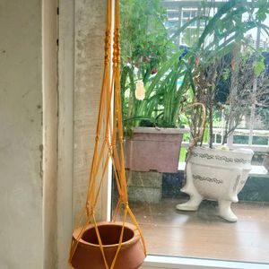 Plant Hanger New