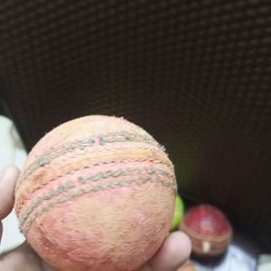 Sg Cricket Ball