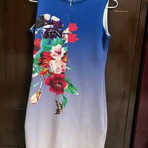 Chinese Mini Dress