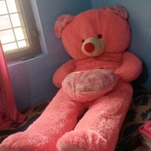 5 Foot Teddy