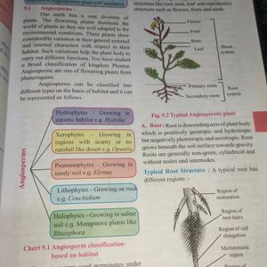 Biology 11th Textbook