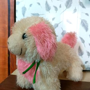 Dog Teddy In Pink Colour