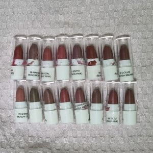 JUST HERBS Ayurvedic MICRO MINI 💋 💄 KIT