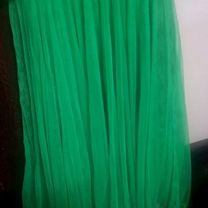 Beautiful Lite Green Colour Ethinc Gown