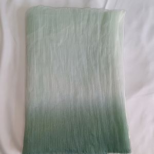 🎉SALE🎉White & Green Ombre Effect Dupatta