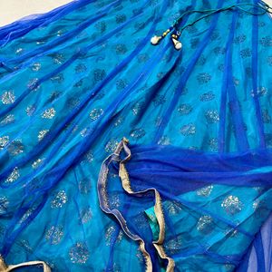 Chaniya Choli / Ethnic Skirt