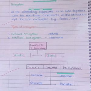 My Notes Class 10th Light Electricity Life Process