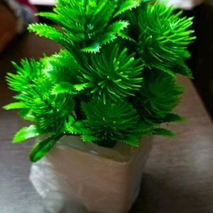 Artificial Plant 4 Piece