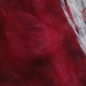 Organza Fabric