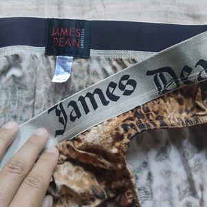 James Dean Brown Silky Briefs