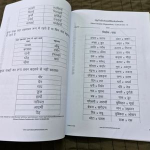 Giant Wheel Magazine + Hindi Worksheet 3rd Std