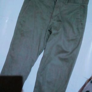 NETPLAY Olive Coloured Stylish Pant