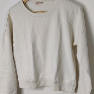 Dressberry Beige Solid Sweatshirt