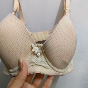 Wired Push Up Bra