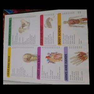 KNOWLEDGE ENCYCLOPAEDIA OF HUMAN BODY NEW 🆕