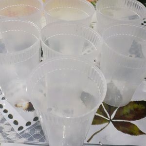 PLASTIC GLASS SET ( PACK OF 7 )