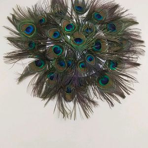 Wall Decorating Peace With Peacock Feather