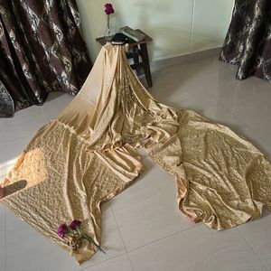 Gold Embellished Sequins Saree