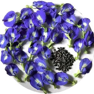 Butterfly Pea Flower Seed/ Sankupushpam