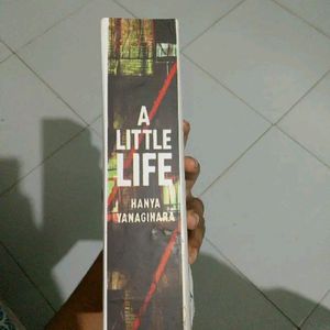 A Little Life Book