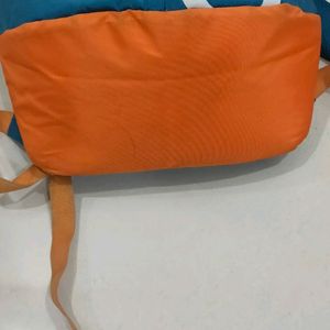 Skybags Bagpack