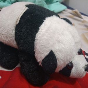 Cute Panda Softoy