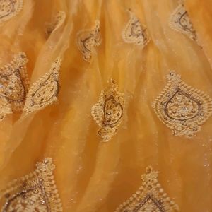 BRIDAL HEAVY GARARA CHIKANKARI WORK ON SILK